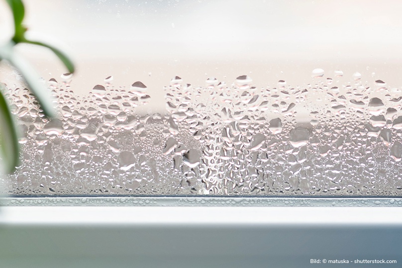 Von innen beschlagenes Fenster