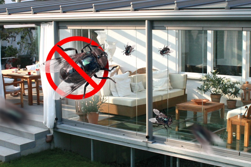 Was tun gegen Fliegen unter dem Glasdach?