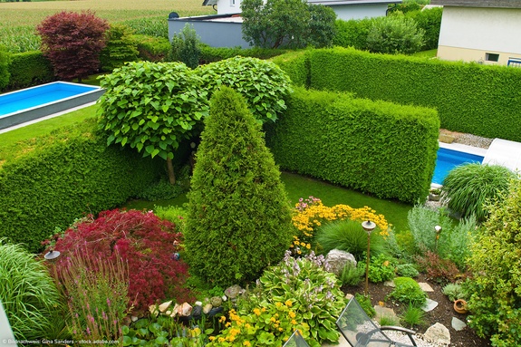 Dank Hecke sichtgeschützt: Der Swimming Pool im Garten