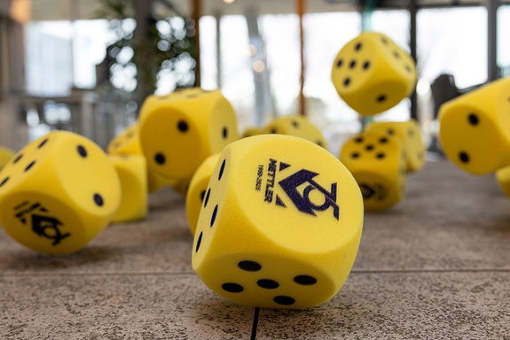 mettler cube