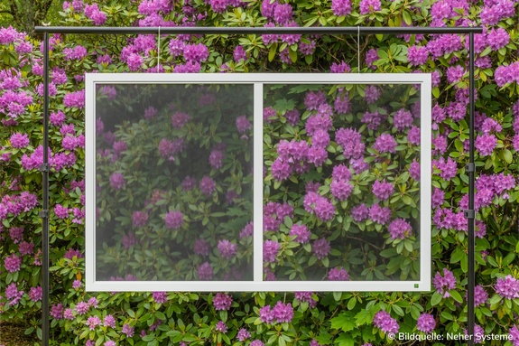 Weißer Rahmen mit dunkler Netzbespannung vor lila blühenden Rhododendren.